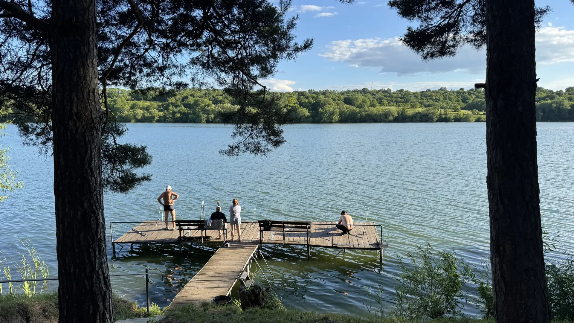 Архітектор
