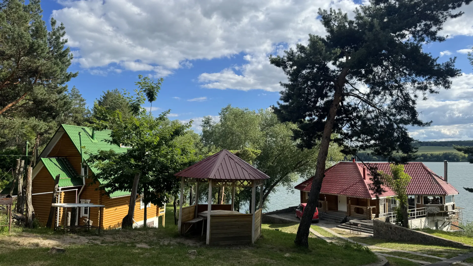 Черепаха