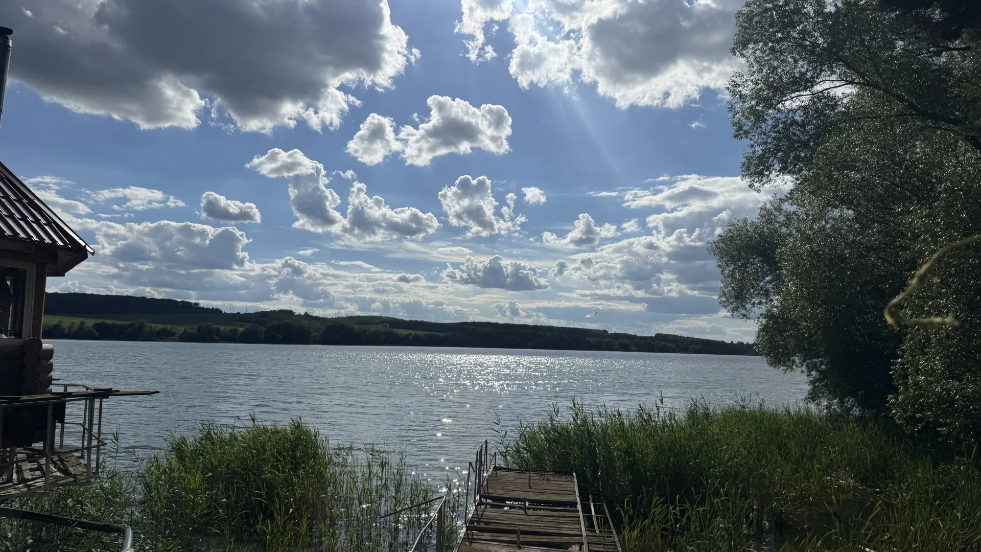 Черепаха