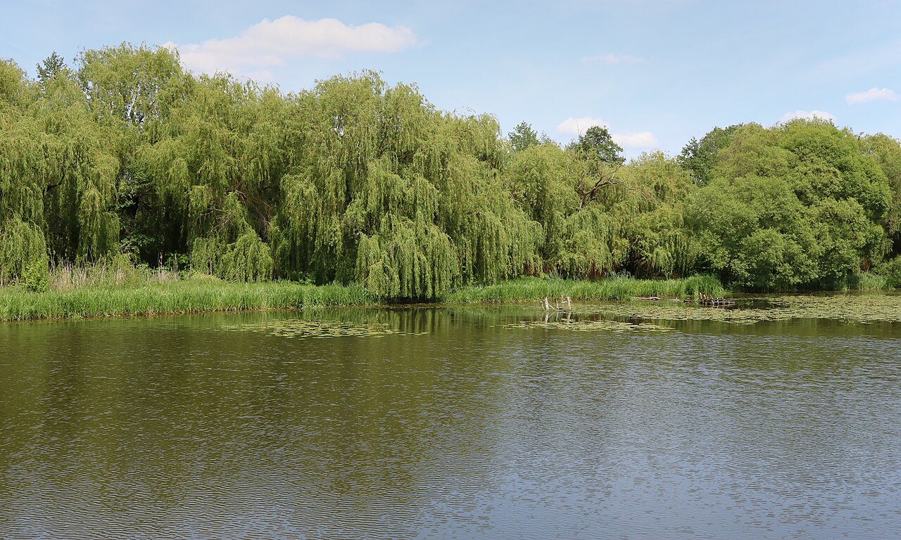 Для родини
